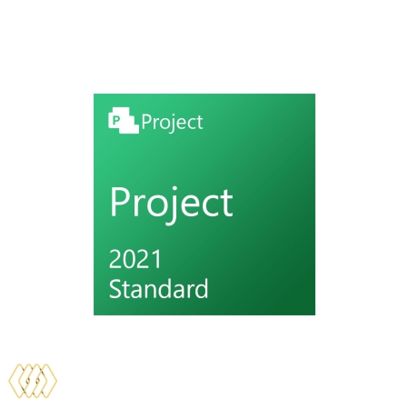 مایکروسافت پراجکت استاندارد 2021